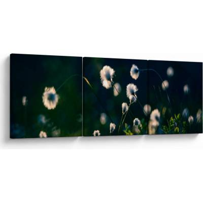 Obraz - Tráva, trojdielne 120x40 cm