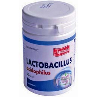 Lactobacillus acidophilus 60 toboliek
