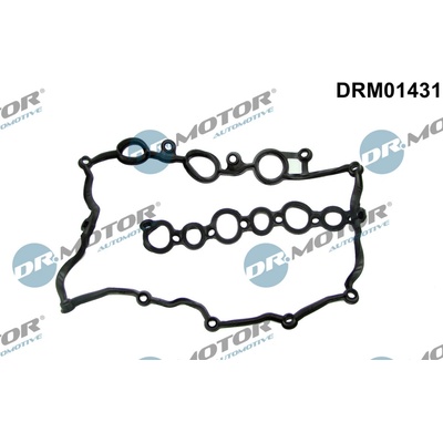 DR.MOTOR AUTOMOTIVE Tesnenie veka hlavy valcov DRM01431