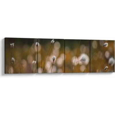 Obraz - Louka s cottongrass N⁰2, Čtyřdílný 160x40 cm