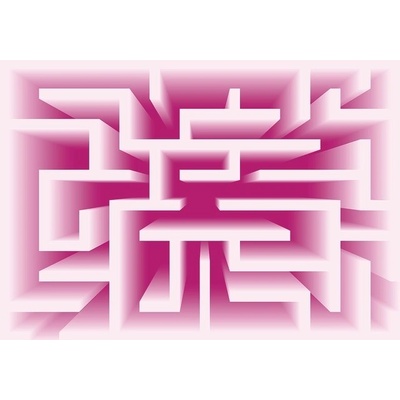 Preinterier FT2252 Fototapeta na stenu 3D - Labyrint – ružový vlies 104cm x 70cm
