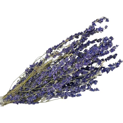 Sušené kvety Delphinium Stračonôžka 100g - fialová