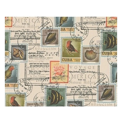 A.S. Création 958991 - Vinylová tapeta Dekora Natur 6 rozmery 0,53 x 10,05 m