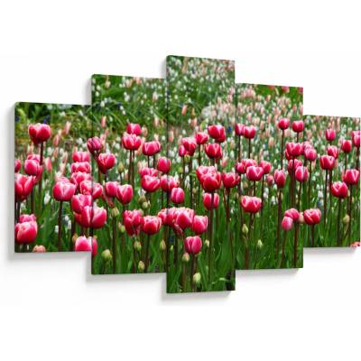 Obraz tulipánů, pětidílný 150x105 cm