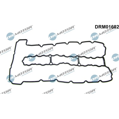 DR.MOTOR AUTOMOTIVE Tesnenie veka hlavy valcov DRM01602