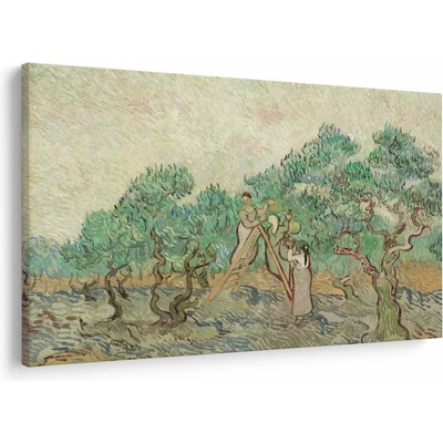 Obraz - Vincent van Gogh, The Olive Orchard, reprodukcia, jednodielne 150x100 cm
