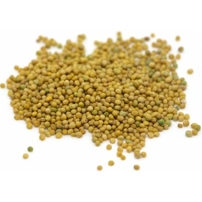 Microgreens Hořčice Bílá 100 g