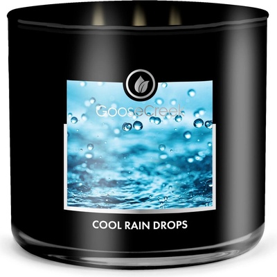 Goose Creek Candle MEN'S COLLECTION COOL RAIN DROPS 411 g