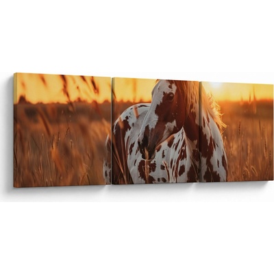 Obraz - Kôň pri západe slnka, trojdielne 90x30 cm