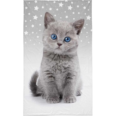 Detexpol Dětský ručník Kotě grey 50x30 cm
