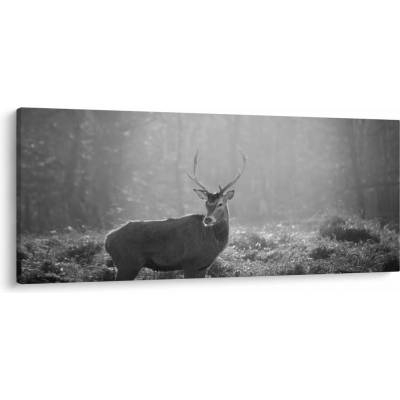 Obraz - Jeleň v lese, čiernobiela, jednodielne 120x50 cm