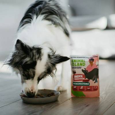 Animal Island Everyday Monoprotein Turkey 300 g