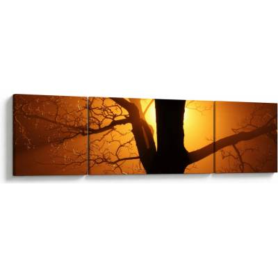 Obraz stromu v západu slunce, třídílný 170x50 cm