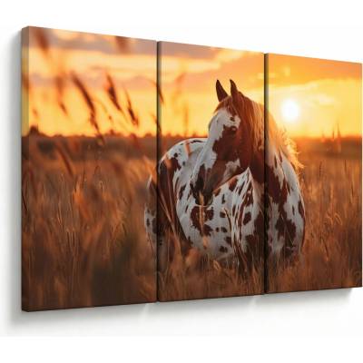Obraz - Kôň pri západe slnka, trojdielne 120x80 cm