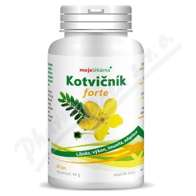 Moje lékárna Kotvičník forte 60 kapsúl