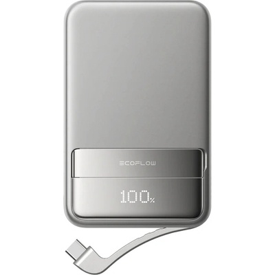 EcoFlow RAPID 729376