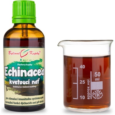 Bylinné kapky ECHINACEA KVETOUCÍ NAŤ KAPKY tinktura 50 ml – Hledejceny.cz