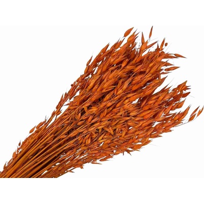 Sušený aranžérsky ovos - klasy 150g - oranžové