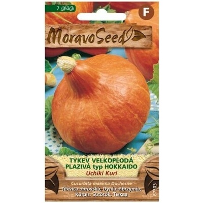 Semienka MoravoSeed Tekvica veľkoplodá plazivá UCHIKU KURI, typ Hokkaido 67303