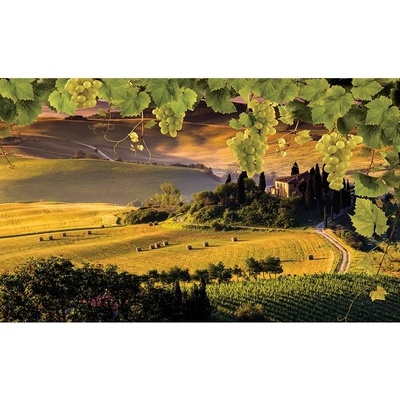 Preinterier FT2765 Fototapeta na stenu Toskánsko vlies 104cm x 70cm
