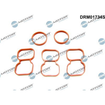 DR.MOTOR AUTOMOTIVE Tesnenie hlavy valcov DRM01734S