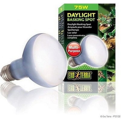 Hagen Exo Terra Daylight Basking Spot 75 W