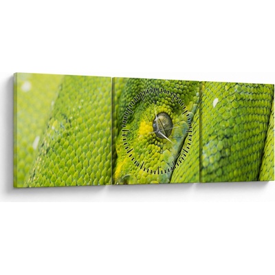 Obraz hada (s hodinami), trojdielne 90x30 cm s hodinami