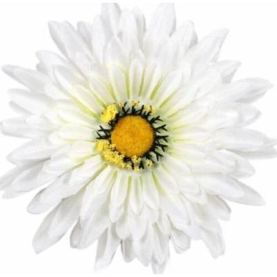 Umelá gerbera bielozelená 15 cm