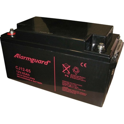 Alarmguard 12V 65Ah CJ12-65