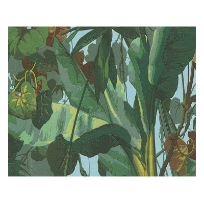 A.S. Création 958981 - Vinylová tapeta Dekora Natur 6 rozmery 0,53 x 10,05 m