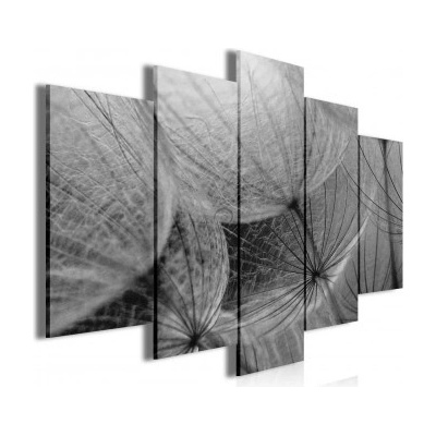 Obraz na plátne viacdielny - OB3493 - Púpava čierno biela 100cm x 60cm - S17