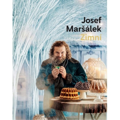 Zimní - Josef Maršálek