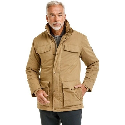 Bushman bunda Hayk camel