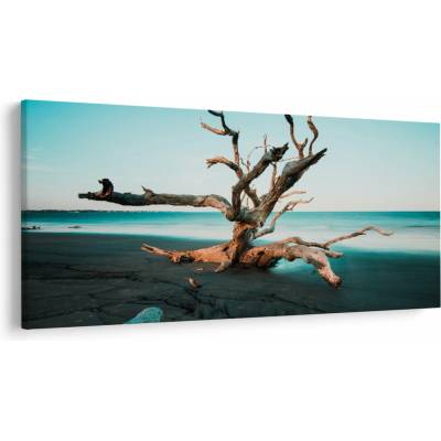 Obraz - Vyplavenie na pláži, jednodielne 250x125 cm