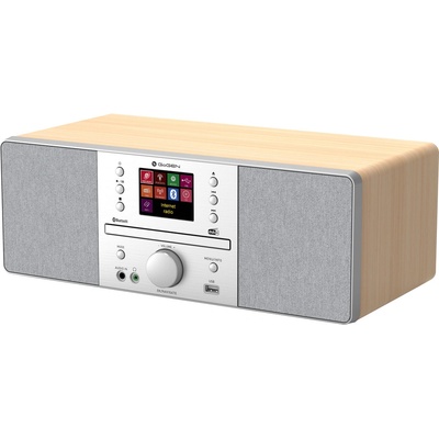 GoGEN IR 267BT-DAB