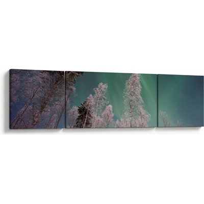 Obraz polárna žiara nad zamrznutými stromami, trojdielne 170x50 cm