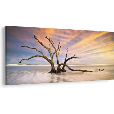 Obraz stromu v oceáne, jednodielne 200x100 cm