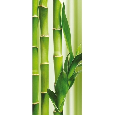Preinterier Fototapeta - DV0161 - Bambus Samolep. fólia - 91cm x 211cm