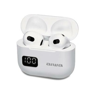 AIWA EBTW-100WT