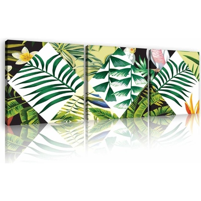 Consalnet Obraz na plátně: Malovaná tropická flóra (2) - set 3ks 25x25cm