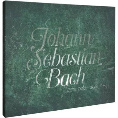 Milan Paľa - Bach: Sonatas and Partitas for Solo V 3 CD – Hledejceny.cz