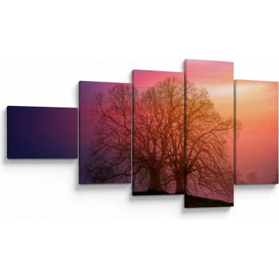 Obraz stromov v hmle, päťdielne 110x60 cm