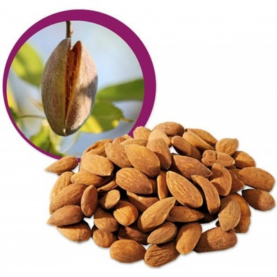 ZdravýDen Mandle natural Bio 1 kg