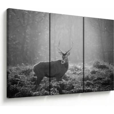 Obraz - Jeleň v lese, čiernobiela, trojdielne 120x80 cm