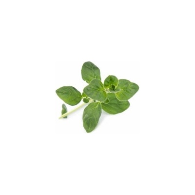 Véritable Lingot Pažitka BIO