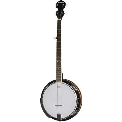 Harley Benton HBJ-25 – Hledejceny.cz