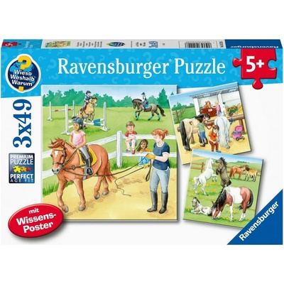 Ravensburger 051298 Koně 3x49 dílků