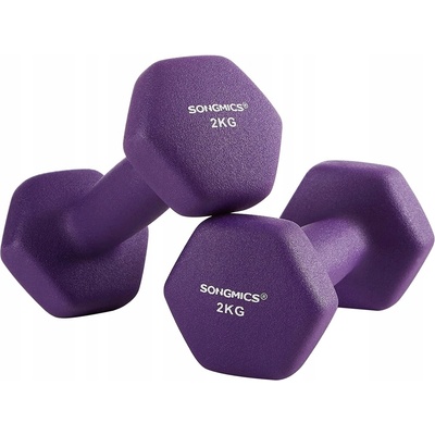 Songmics SYL64PL 2 x 2 kg 2 ks