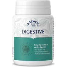 Dorwest Tablety na trávenie 200 tbl