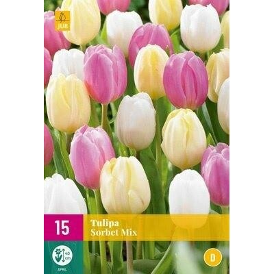 Tulipán Sorbet Mix "D"